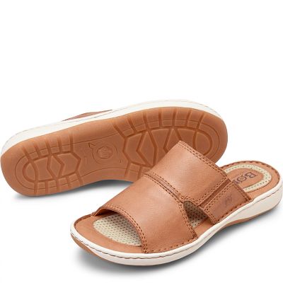 Flores shown in Terra (Brown)
