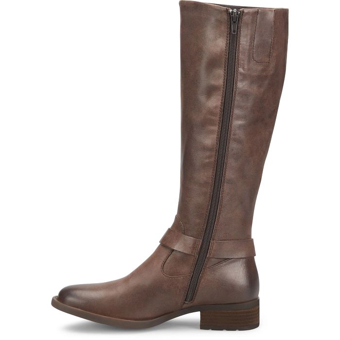 reverse side