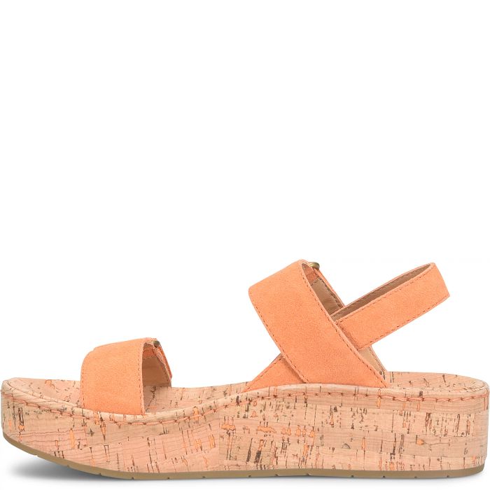 reverse side