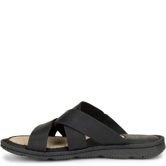 reverse side